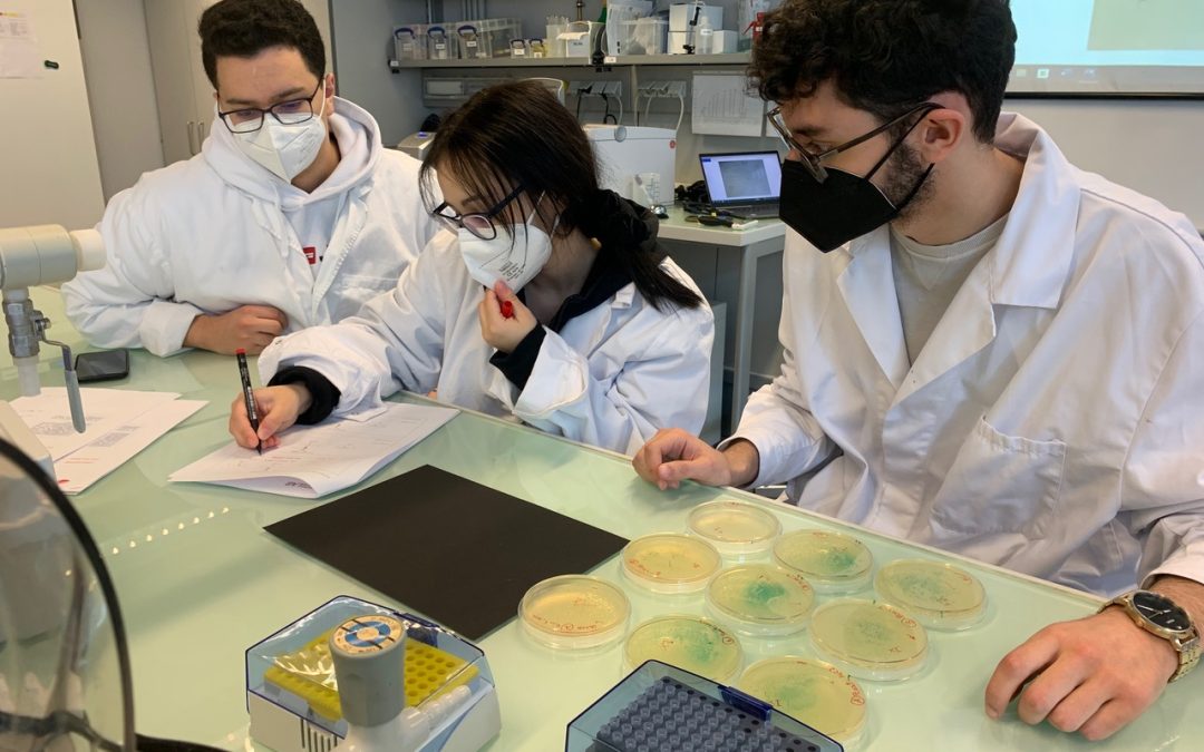 Vienna Open Lab 8A 2022