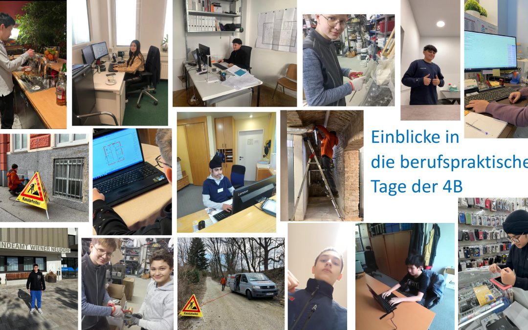 Berufspraktische Tage der 4. Klassen
