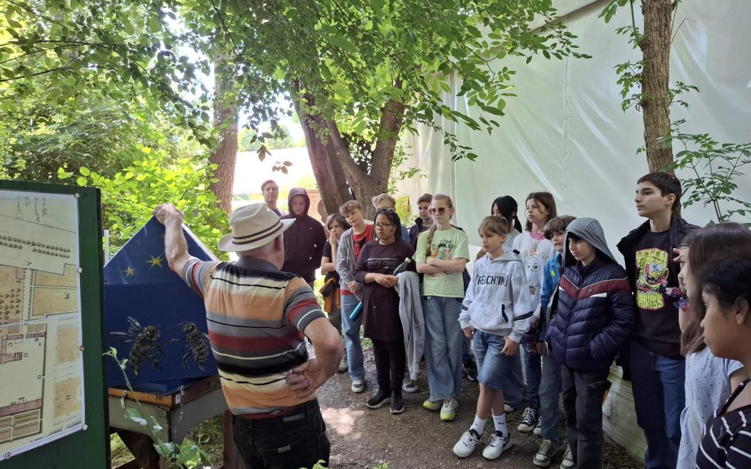 Ein Tag bei den Bienen – Biologieunterricht im Augarten mit Imkermeister Eugen Aberer